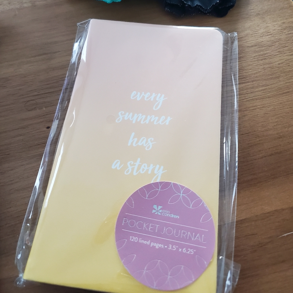 Erin Condren Pocket Journal summer 2021